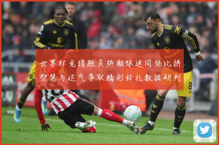 世界杯竞猜胜负热潮球迷同场比拼智慧与运气争取精彩好礼数据研判-深度解析