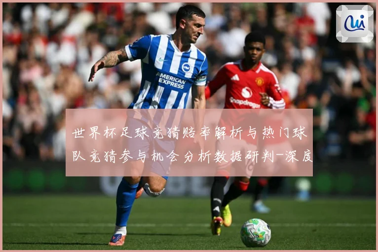 世界杯足球竞猜赔率解析与热门球队竞猜参与机会分析数据研判-深度解析