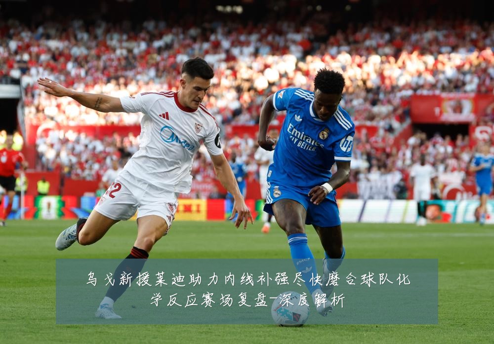 乌戈新援莱迪助力内线补强尽快磨合球队化学反应赛场复盘-深度解析